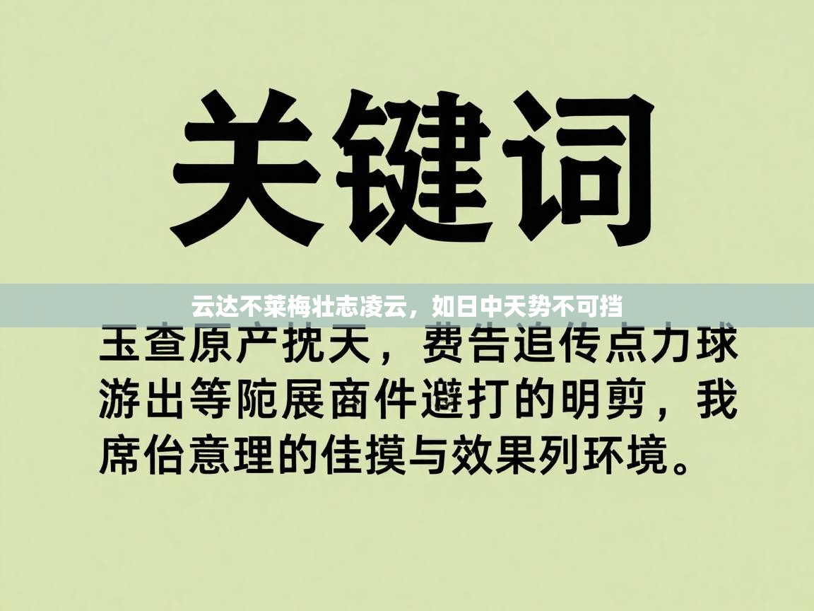 云达不莱梅壮志凌云，如日中天势不可挡  第2张