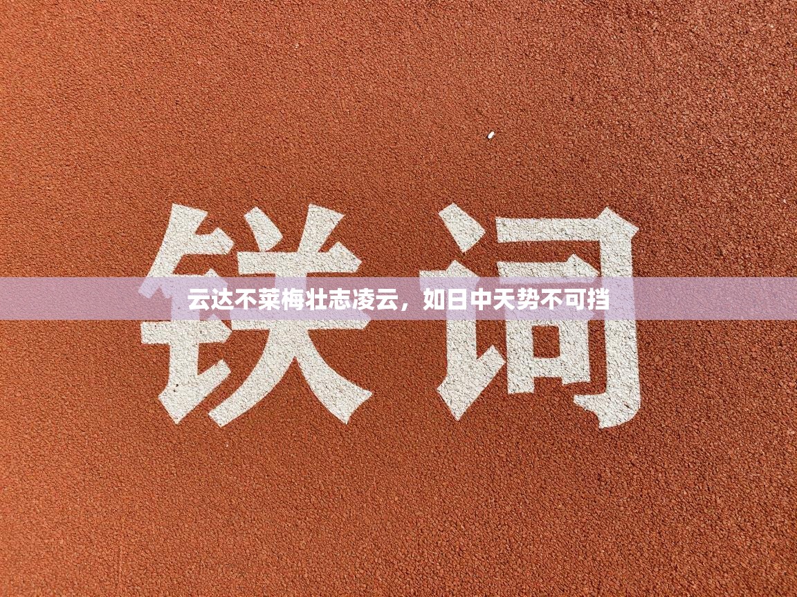 云达不莱梅壮志凌云，如日中天势不可挡