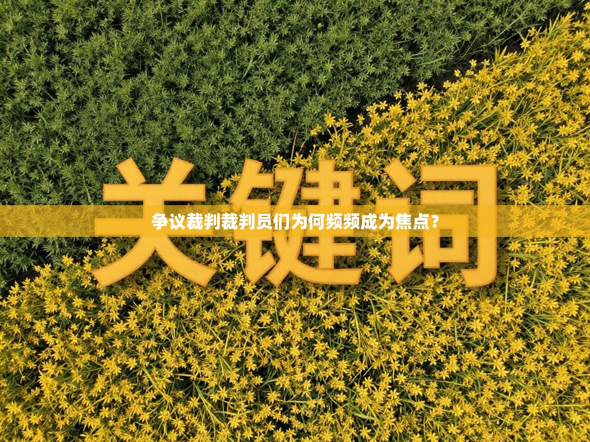 争议裁判裁判员们为何频频成为焦点？  第2张