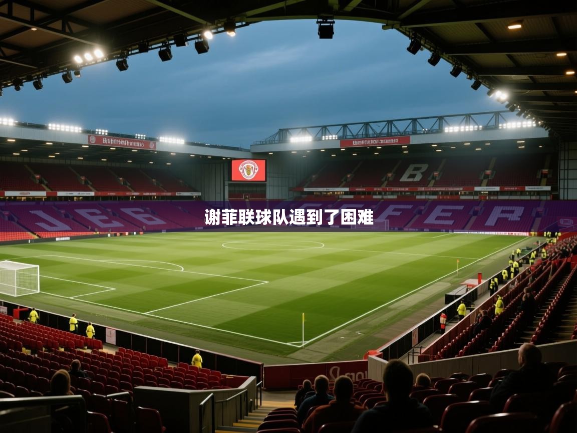 谢菲联球队遇到了困难 第2张