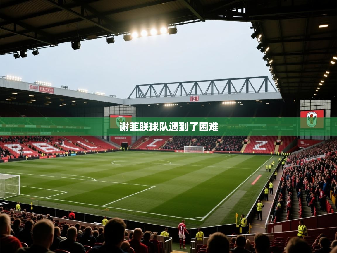 谢菲联球队遇到了困难 第1张