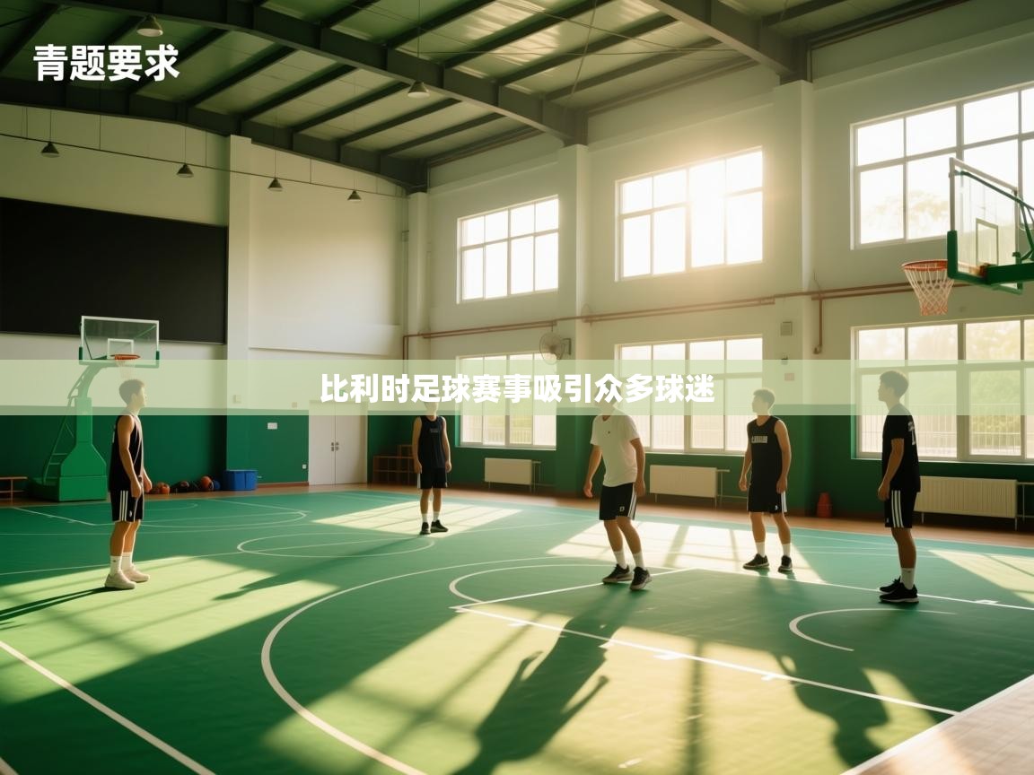 比利时足球赛事吸引众多球迷 第2张